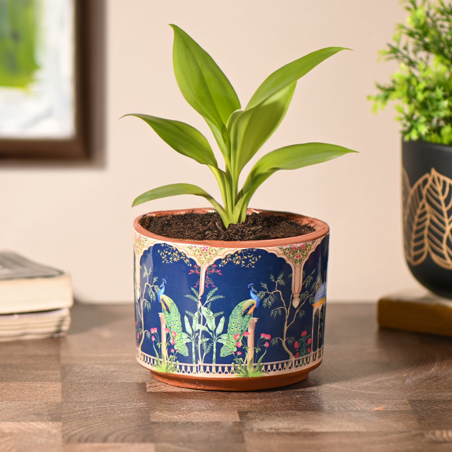 Peacock Printed small Room/Table Planter, Handcrafted Terracotta Planter (Plant not included)