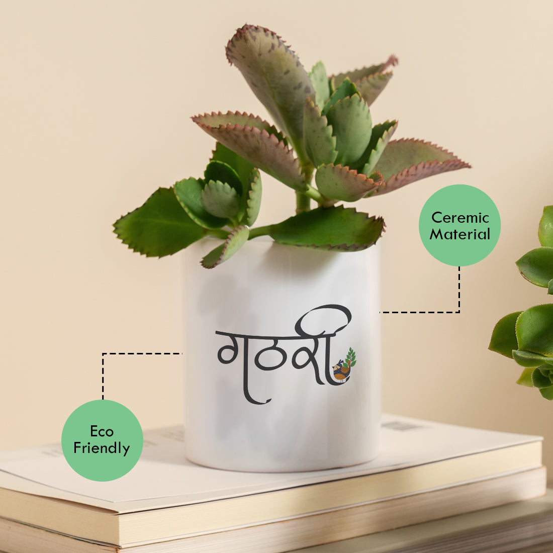 Ceramic Desk Planter combo - Soul Garden and Cats (Planter only)