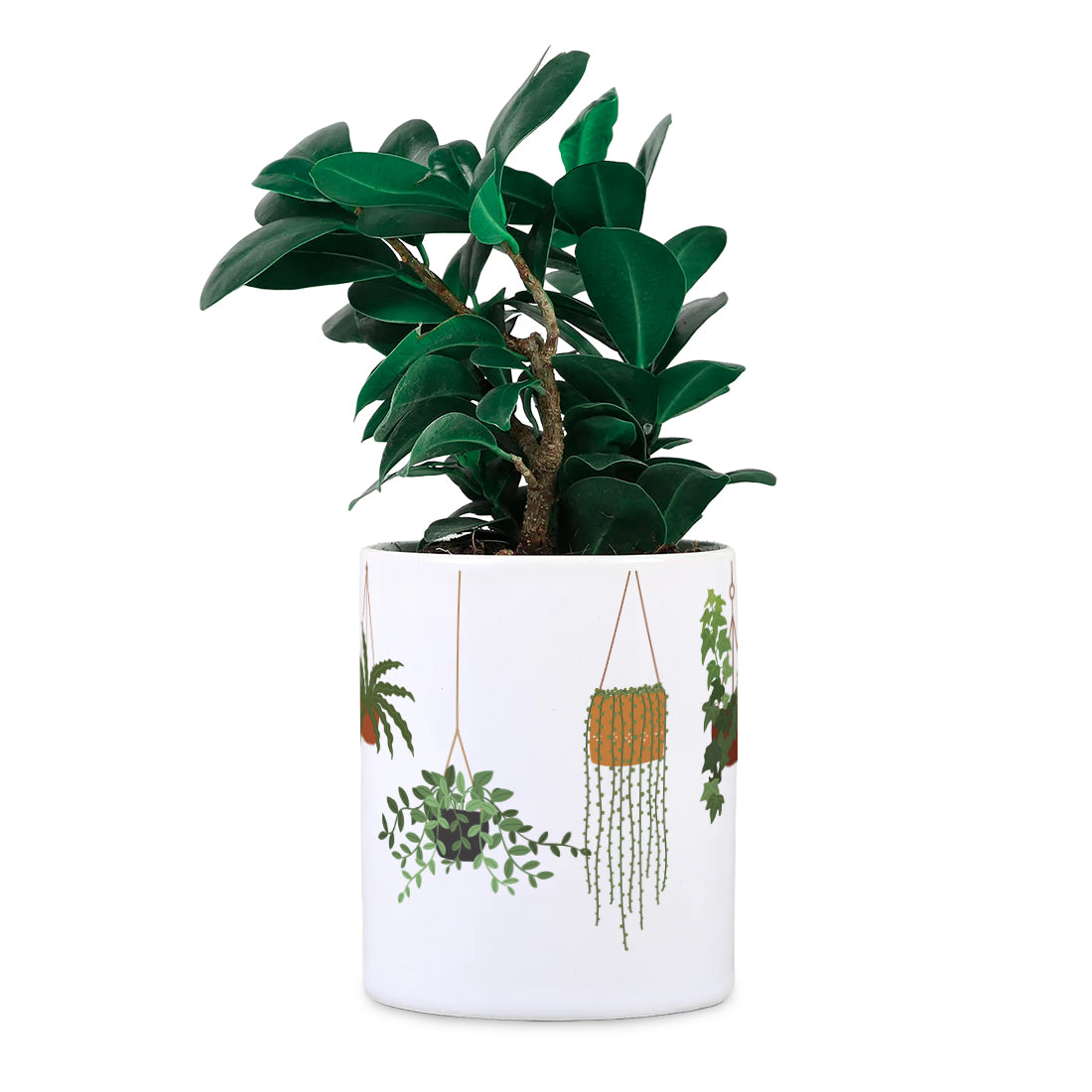 Hanging Plants Ceramic Desk planter Set of 2 (Planter only)