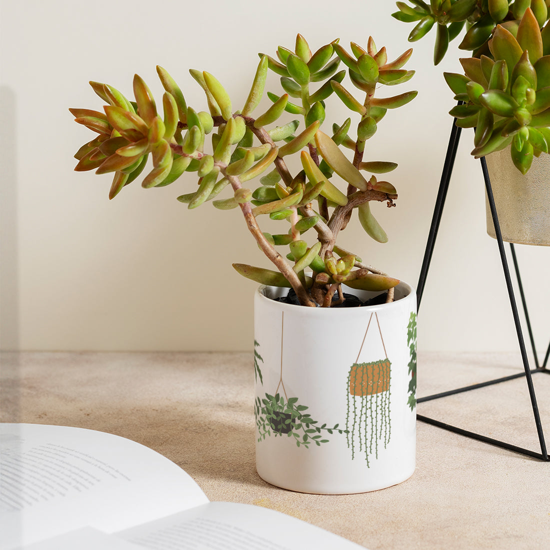 Hanging Plants Ceramic Desk planter (Planter only)