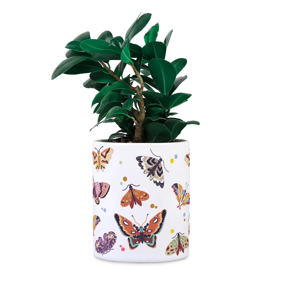 Butterfly Ceramic Desk planter Set of 2 (Planter only)