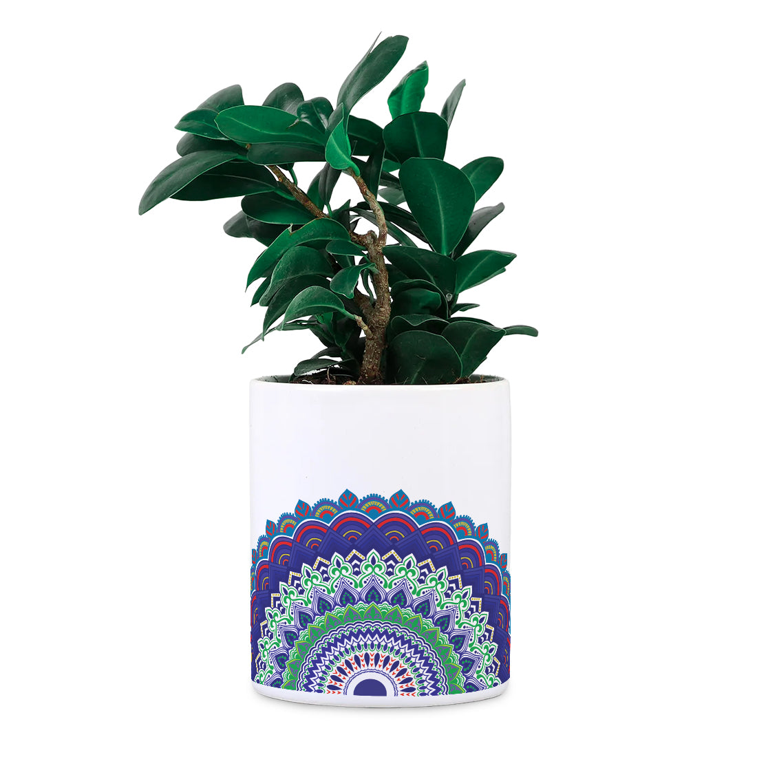 Mandala Ceramic Desk planter (Planter only)