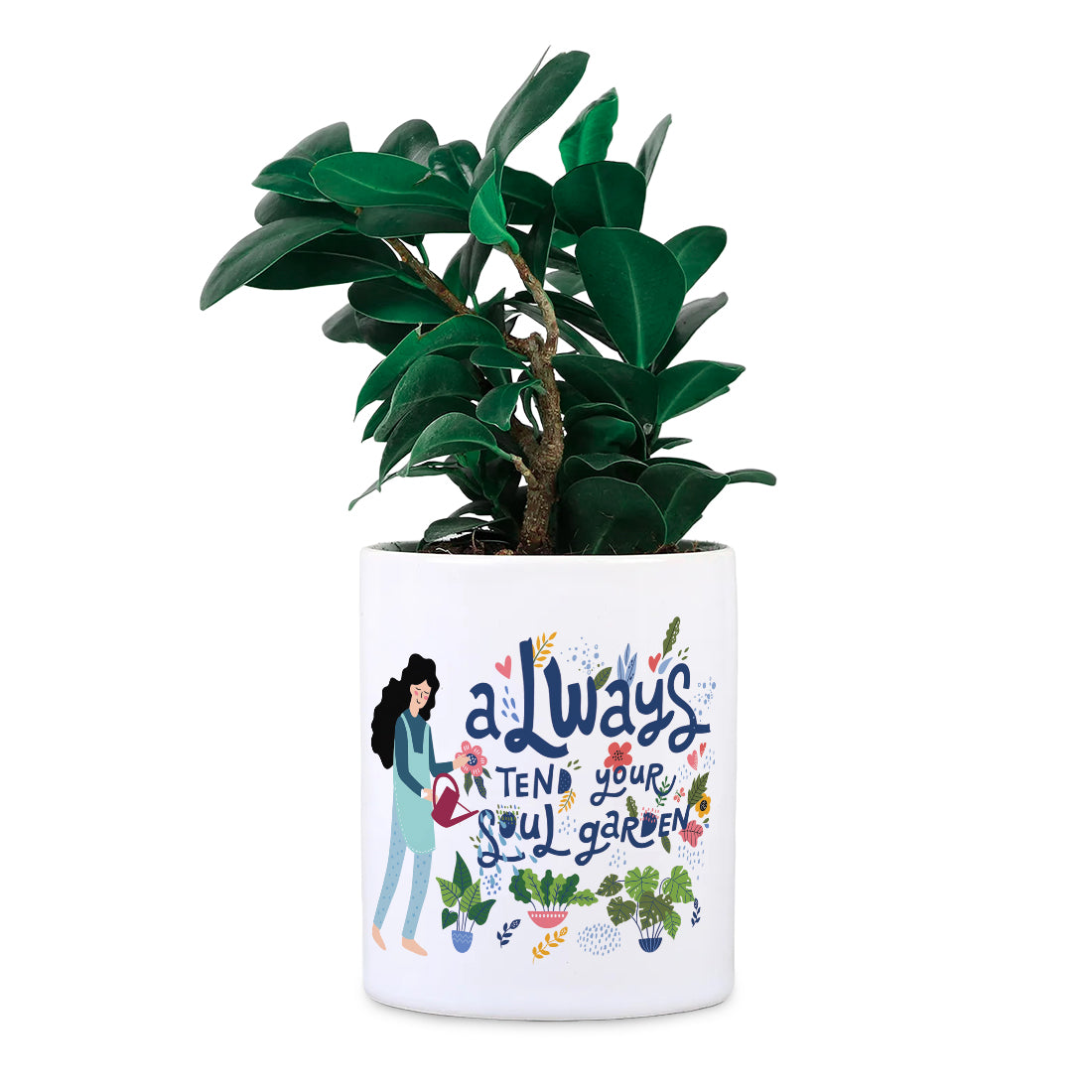 Soul Garden Plants Ceramic Desk planter (Planter only)