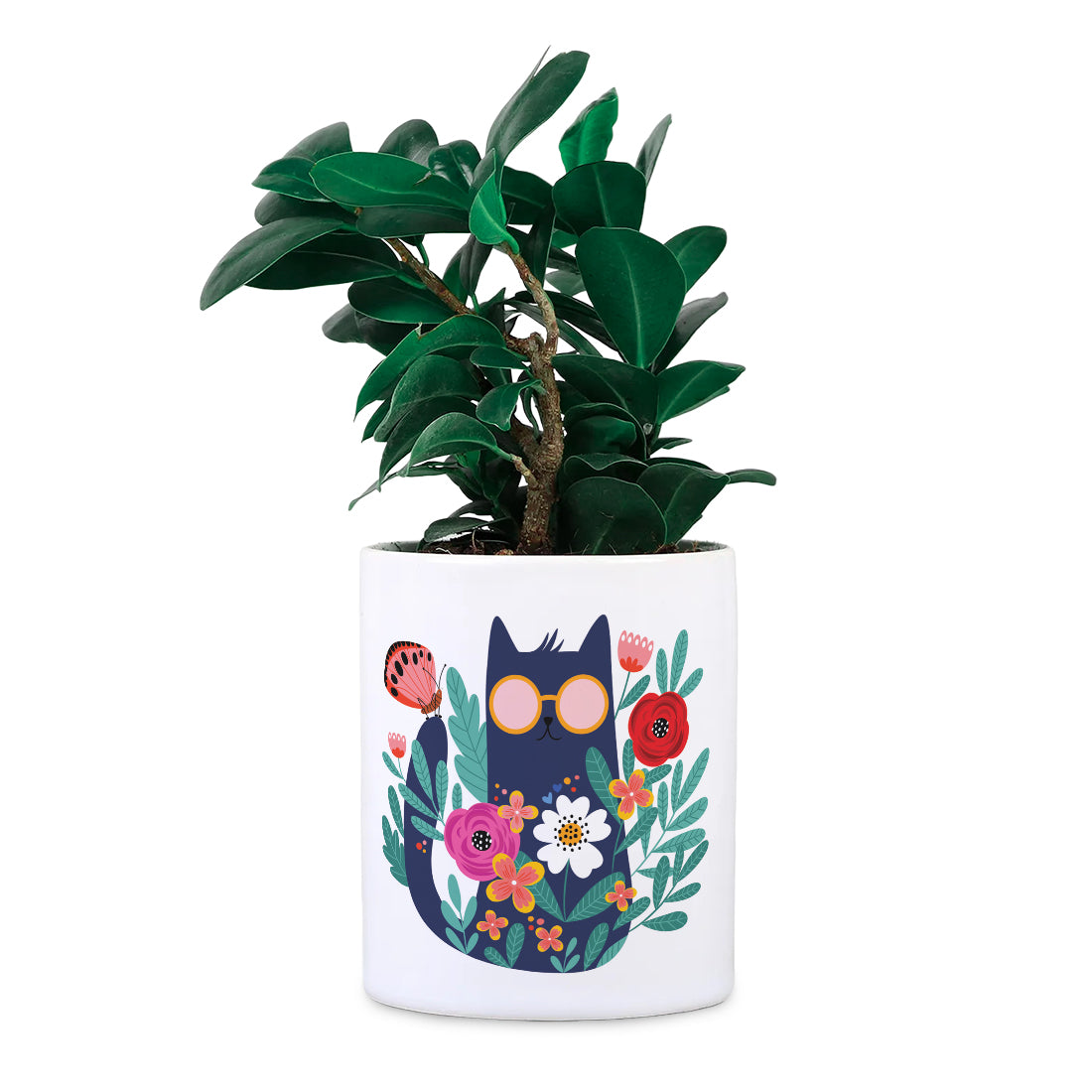 Cat Ceramic Desk planter (Planter only)