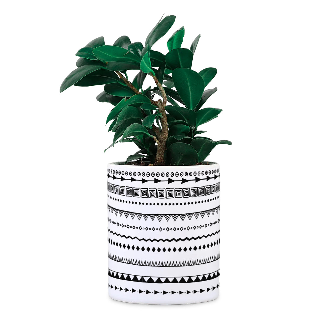 Stripes Ceramic Desk planter (Planter only)