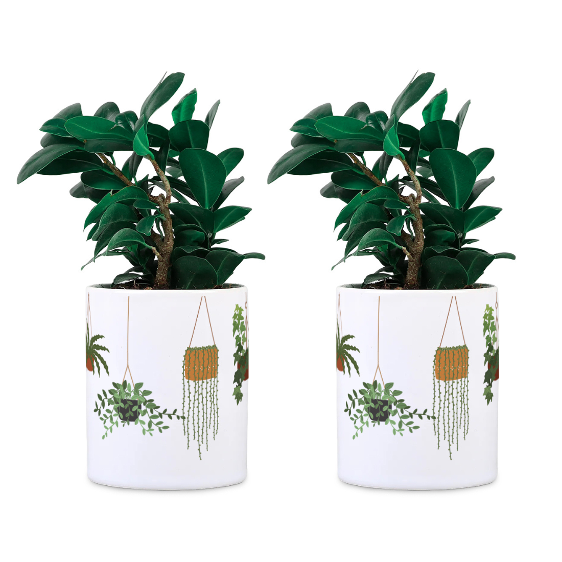 Hanging Plants Ceramic Desk planter Set of 2 (Planter only)