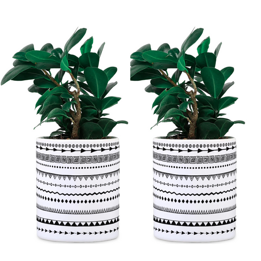 Stripes Ceramic Desk planter Set of 2 (Planter only)