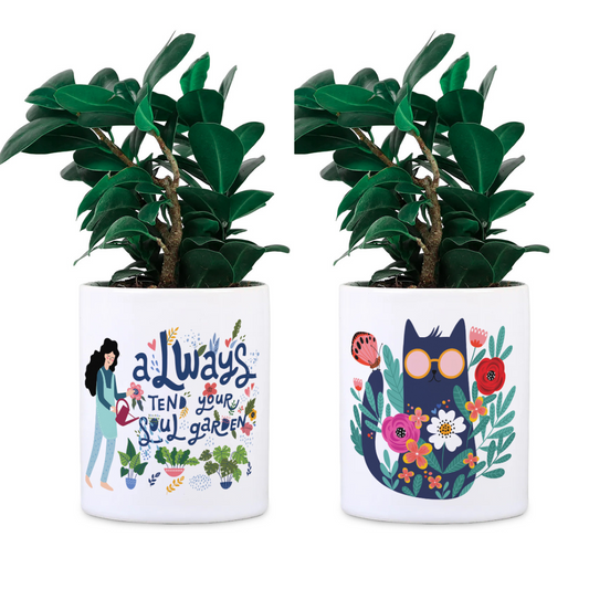 Ceramic Desk Planter combo - Soul Garden and Cats (Planter only)