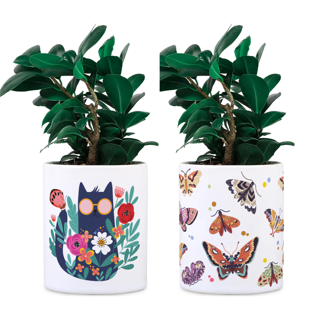 Ceramic Desk Planter combo - Cats and Butterfly (Planter only)